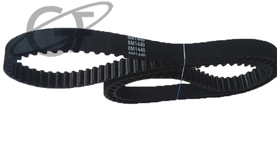 correa-sincronica-8m