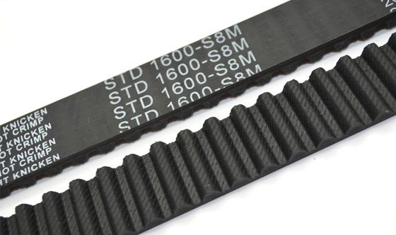 correa-sincronica-8m